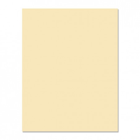 Cartulina crema 240g 50x65cm