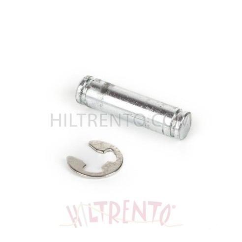 Kit conjunto eje gatillo y arandela seg. - Victoria 16