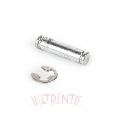 Kit conjunto eje gatillo y arandela seg. - Victoria 16