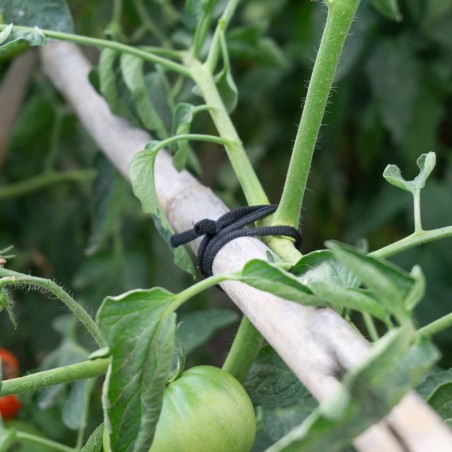 200 mts Goma elástica cuerda agrícola cinta negra cinta 5 mm, atar tomates y árboles, plana, hilo de entutorar