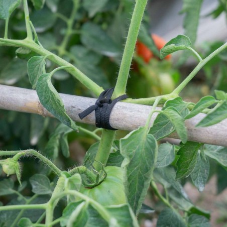 200 mts Goma elástica cuerda agrícola cinta negra cinta 5 mm, atar tomates y árboles, plana, hilo de entutorar