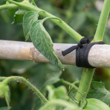 200 mts Goma elástica cuerda agrícola cinta negra cinta 5 mm, atar tomates y árboles, plana, hilo de entutorar
