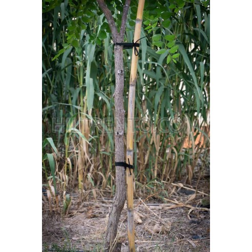 200 mts Goma elástica cuerda agrícola cinta...