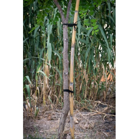 200 mts Goma elástica cuerda agrícola cinta negra cinta 5 mm, atar tomates y árboles, plana, hilo de entutorar