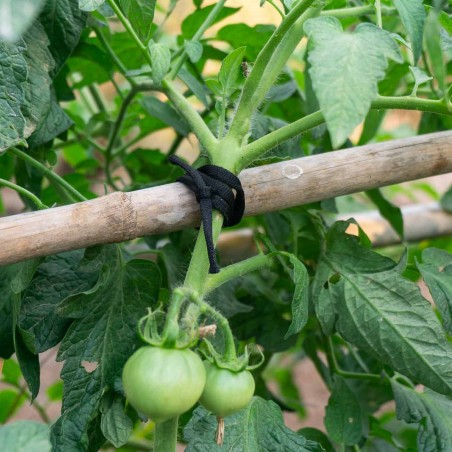 200 mts Goma elástica cuerda agrícola cinta negra cinta 5 mm, atar tomates y árboles, plana, hilo de entutorar