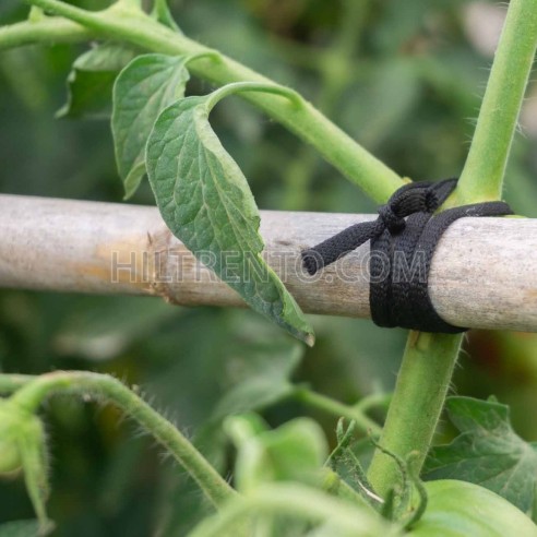 200 mts Goma elástica cuerda agrícola cinta...