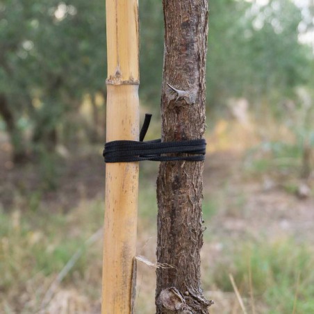 200 mts Goma elástica cuerda agrícola cinta blanca 5 mm, atar tomates y árboles, plana, hilo de entutorar