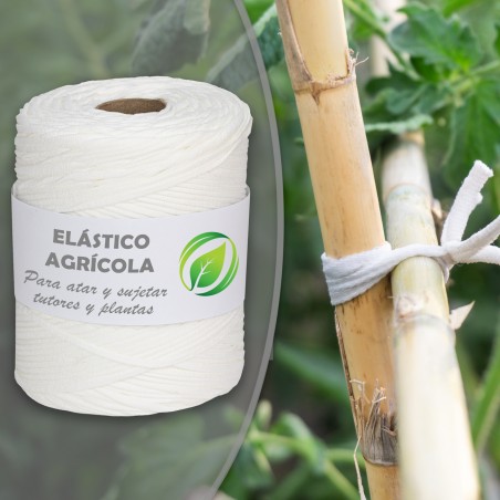 200 mts Goma elástica cuerda agrícola cinta blanca 5 mm, atar tomates y árboles, plana, hilo de entutorar