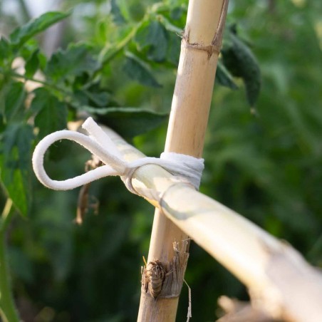 200 mts Goma elástica cuerda agrícola cinta blanca 5 mm, atar tomates y árboles, plana, hilo de entutorar