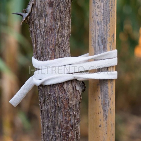200 mts Goma elástica cuerda agrícola cinta...